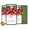 Einladung Weihnachten WhatsApp